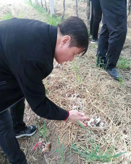 1649379095998336.png image.png