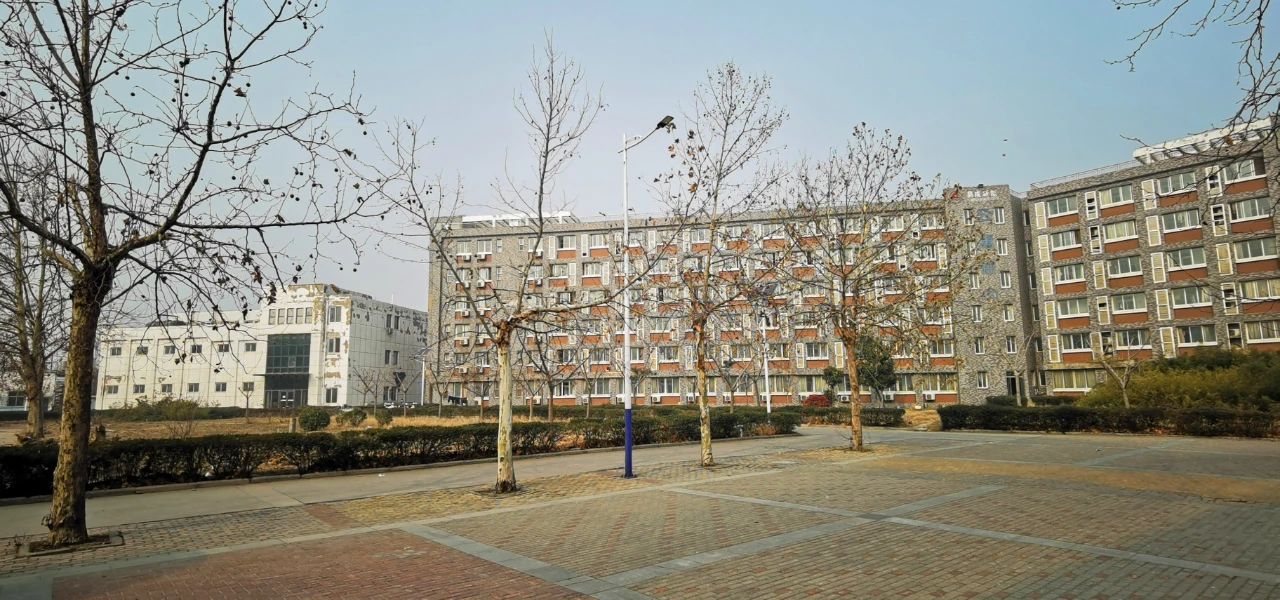 1734599041419093.jpg 60144e6af63dff009c739dc190b0fc5f.jpg